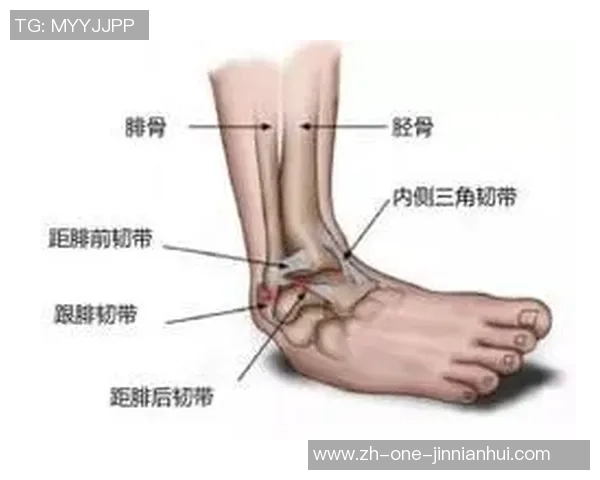 足球运动中脚踝疼痛的原因及预防措施详解